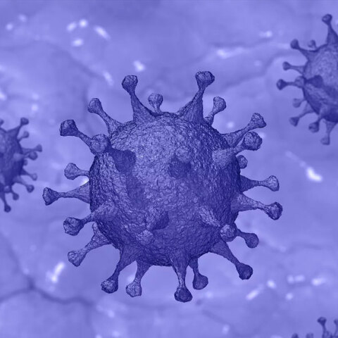 Χλωροκίνη και κορωνοϊος