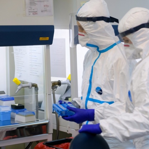 Κορωνοϊός: Επιστημονικά ευρύματα ανοίγουν δρόμουν για το φάρμακο