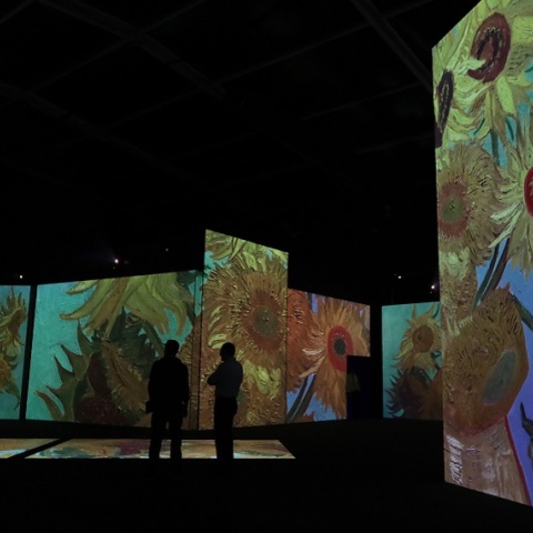 Ολλανδία: Εκλάπη πίνακας του Βαν Γκογκ από μουσείο που ήταν κλειστό λόγω κορωνοϊού