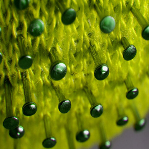 Νέος κορωνοϊός 