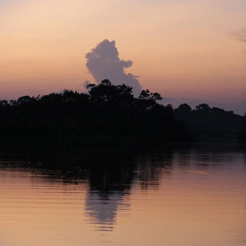 Επιβεβαιώθηκε κρούσμα κορωνοϊού στο τροπικό δάσος του Αμαζονίου