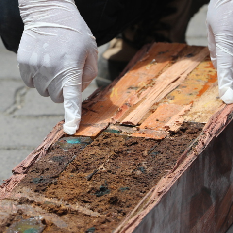 Ρεκόρ αφίξεων κοκαΐνης στο Βέλγιο, λόγω κορωνοϊού 