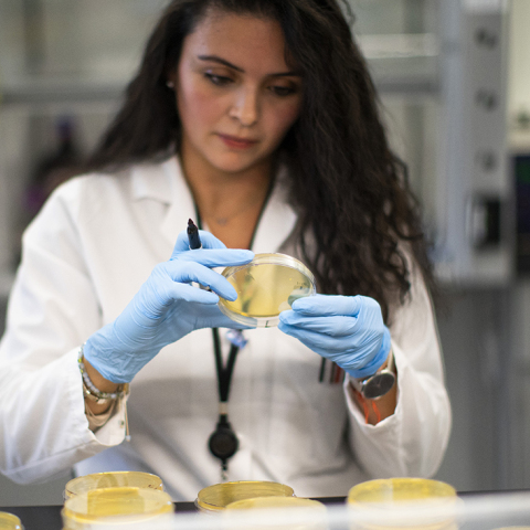 Νέο «όπλο» κατά του κορωνοϊού από Έλληνες επιστήμονες