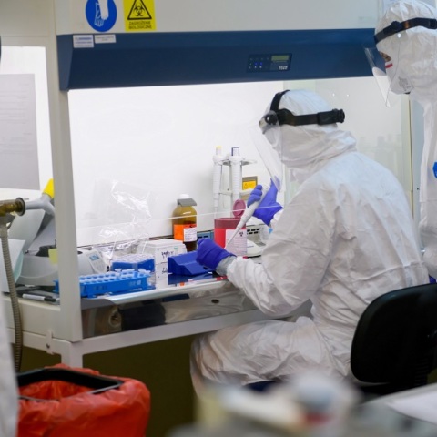 Κορονοϊός: Βρέθηκαν αντισώματα που μπλοκάρουν τη λοίμωξη