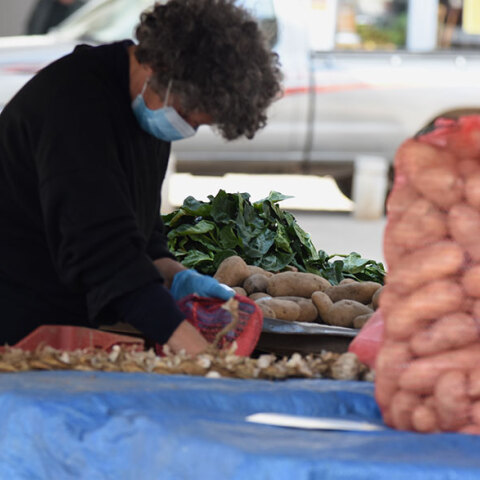 Λαϊκή Αγορά στον Νέο Κόσμο