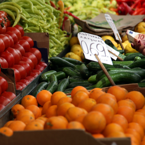 Ιταλία: Στα χωράφια όσοι παίρνουν επίδομα ανεργίας 