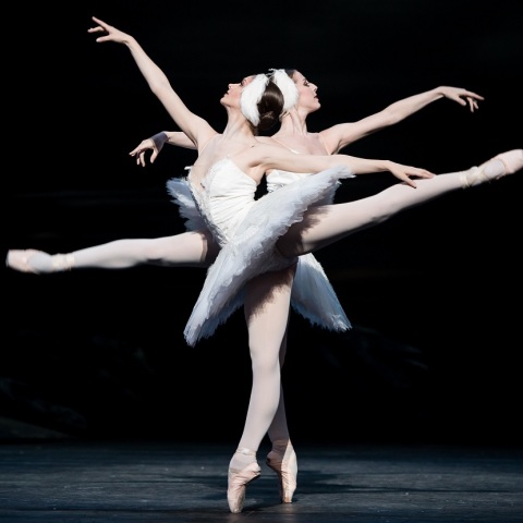 swan_lake.jpg