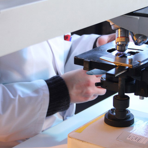 Εργαστήριο