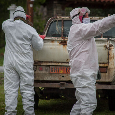 Κορωνοϊός στην Ελλάδα