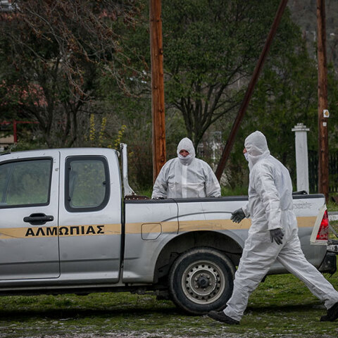 Πέλλα, Κορωνοϊός