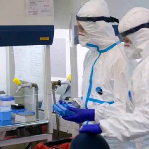 Κορωνοϊός: Ο Σύψας έδωσε ελπίδες για δύο φάρμακα