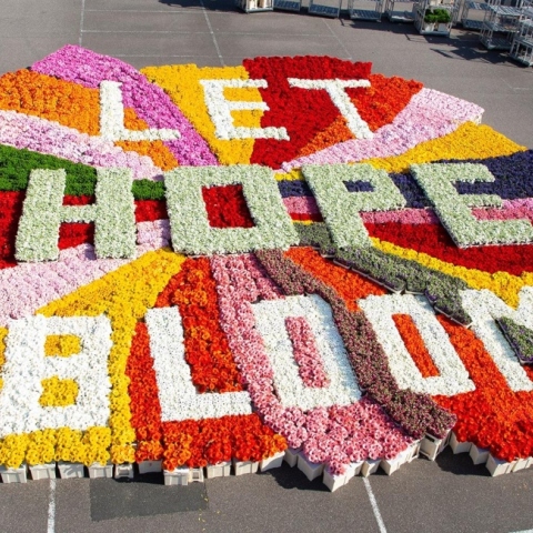 Η διαφημιστική καμπάνια της Flower Council of Holland για τον Covid-19