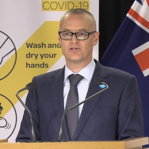 Ντέιβιντ Κλαρκ, Νέα Ζηλανδία