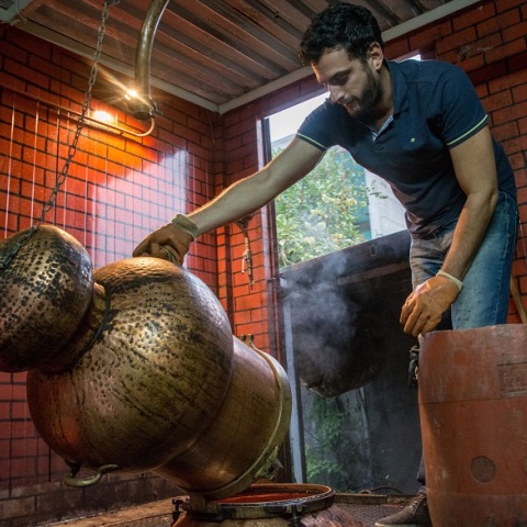 Παραγωγοί από το Ηράκλειο προσφέρουν τσικουδιά για την παραγωγή οινοπνέυματος