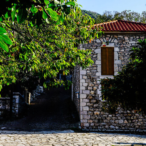 Μελισσόπετρα Αρκαδίας 