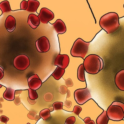 Νέο σκίτσο του Αρκά για τον κορωνοϊό και την επιτυχία του #menoumespiti