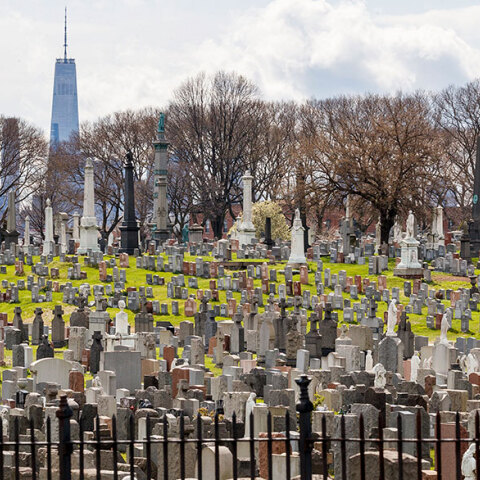 Νέα Υόρκη, Κορωνοϊός