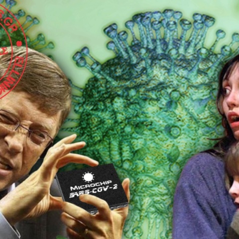 bill-gates-chip.jpg