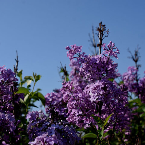 Ανοιξιάτικος καιρός