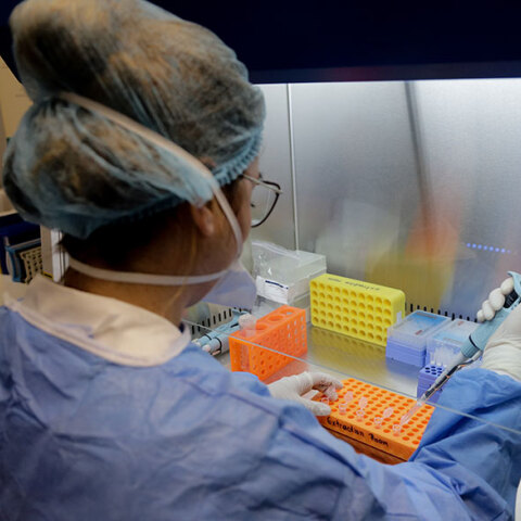 Κρούσματα κορωνοϊού στην Ελλάδα