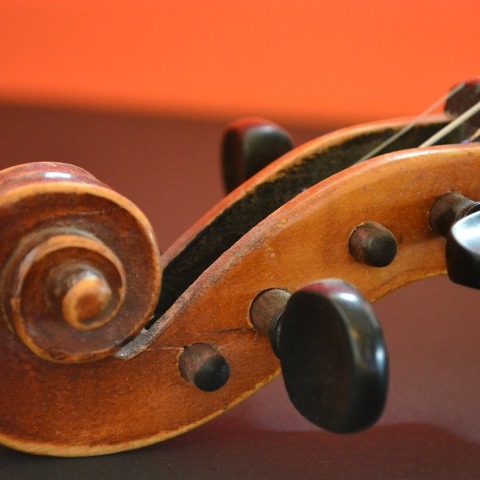 violin-283876_1280.jpg