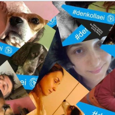 #denkollaei: Κόμμα για την προστασία των ζώων εν μέσω κορωνοϊού