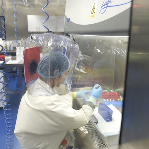 Διάψευση Κίνας για την κατασκευή του κορωνοϊού σε εργαστήρια