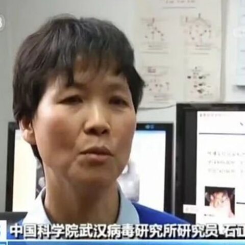 Shi Zhengli - «Batwoman»