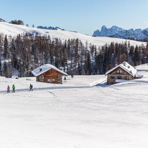 Κορωνοϊός, Γαλλία
