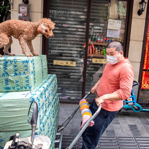 Κίνα, Κορωνοϊός