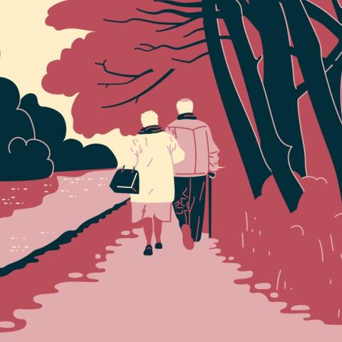 Ζευγάρι ηλικιωμένων περπατά χέρι-χέρι