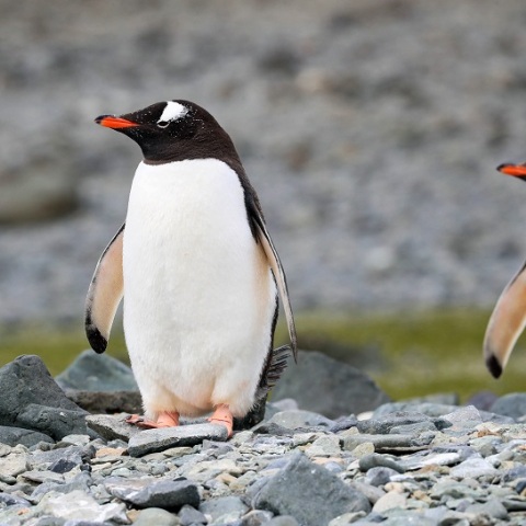 O OHE Προειδοποιεί για την κλιματική αλλαγή
