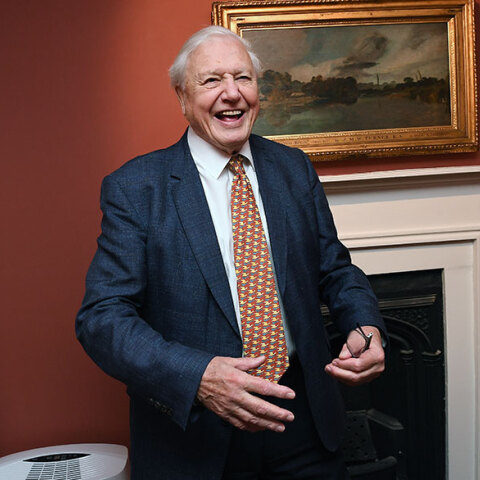 Ντέιβιντ Ατένμπορο