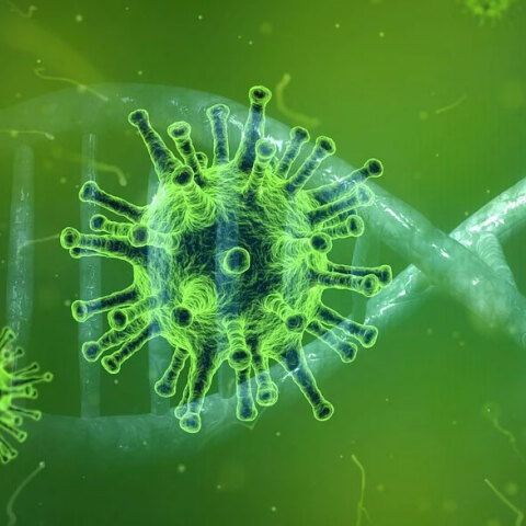 Αγώνας δρόμου για να βρεθεί φάρμακο για τον κορωνοϊό