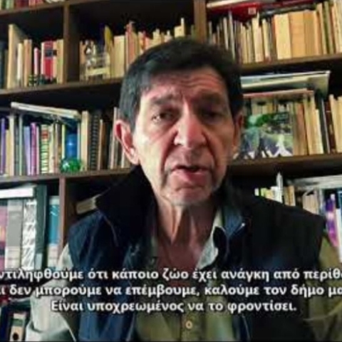 Ο Γεράσιμος Σκιαδαρέσης σε βίντεο για τα αδέσποτα