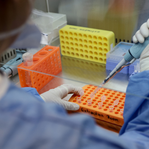 Κορωνοϊός: Πειραματικό εμβόλιο με καλά αποτελέσματα σε πιθήκους 