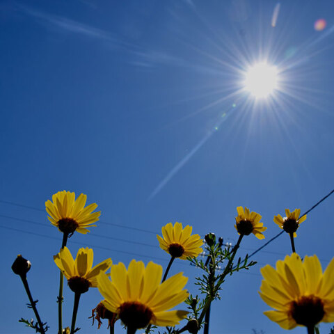Ανοιξιάτικος καιρός