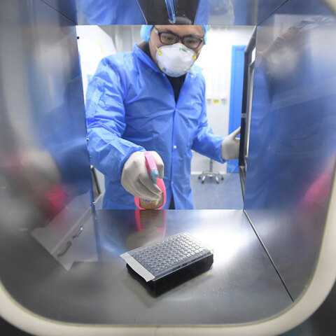 Κίνα, Κορωνοϊός