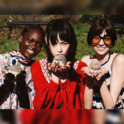 Φωτογραφία από την καμπάνια της Gucci 2020 με 3 κορίτσια που κρατούν στα χέρια σκατζόχοιρους