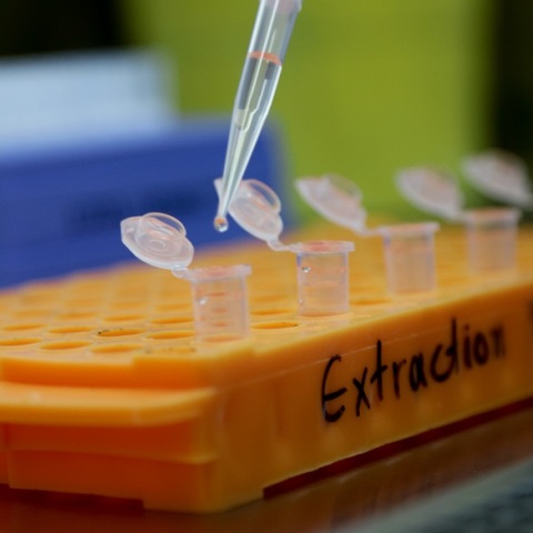 ΠΟΥ για επιπτώσεις κορωνοϊού σε σχέση με τον εμβολιασμό