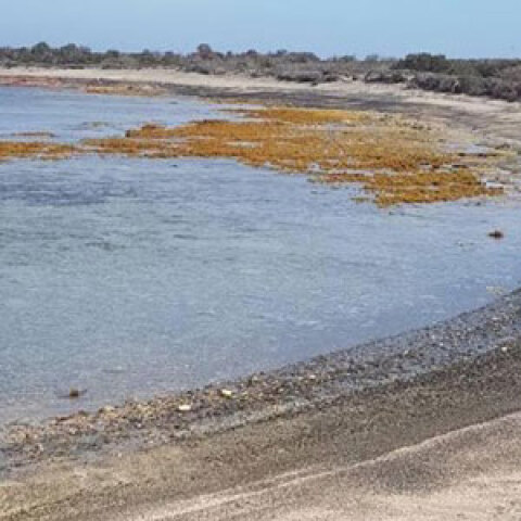 Μίνι «τσουνάμι» από τον σεισμό στην Κρήτη © neakriti.gr