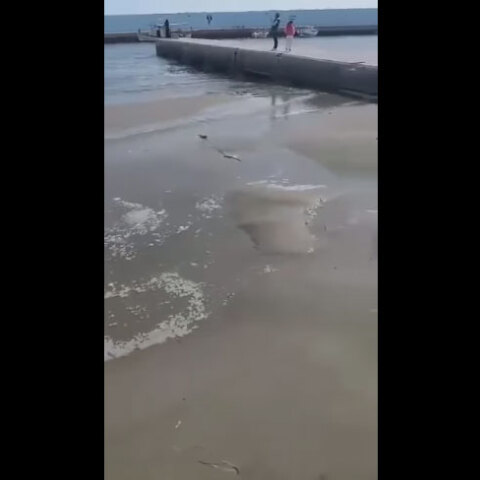 Μίνι «τσουνάμι» από τον σεισμό στην Κρήτη