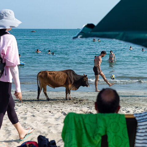 Κίνα, Κορωνοϊός
