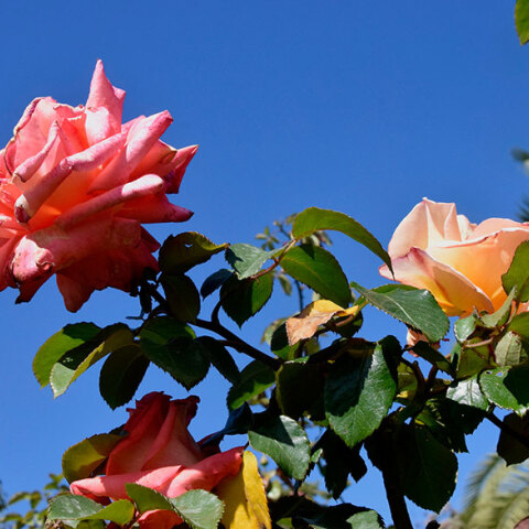 Ανοιξιάτικος καιρός