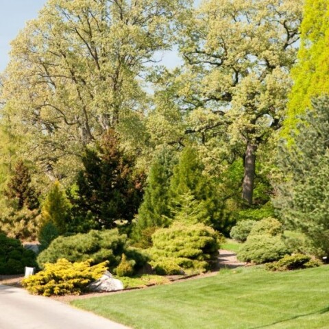 Βοτανικός Κήπος της Νέας Υόρκης