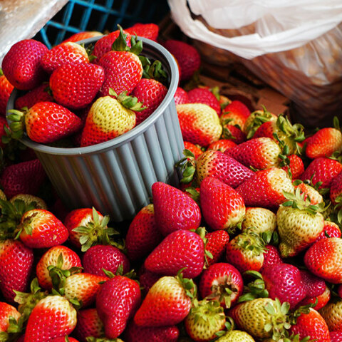 Κορωνοϊός και Διατροφή