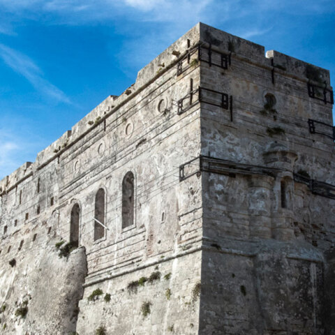 Το Μουσείο Μπενάκη Ελληνικός Πολιτισμός παρουσιάζει διαδικτυακά τη φωτογραφική έκθεση «Ο Τελευταίος Μοναχός των Στροφάδων» των Robert McCabe - Κατερίνας Λυμπεροπούλου