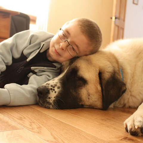 Χάατσι & Όουεν