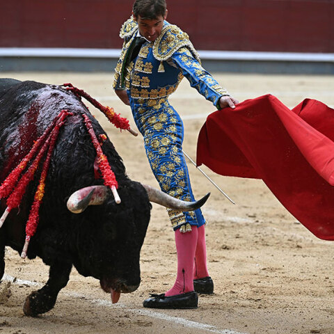 Ταυρομαχία, Ισπανία