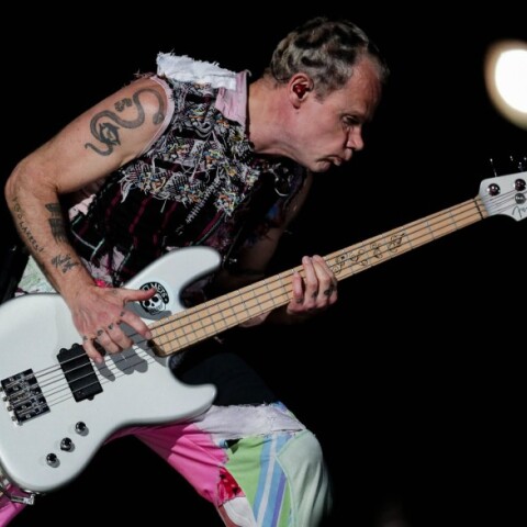 Flea